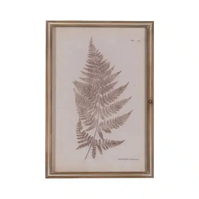 Cuadro Hojas Helecho Marrones, Vintage (33×2.5×48 cm)