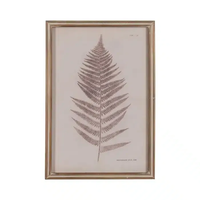 Cuadro Hojas Helecho Marrones, Vintage (33×2.5×48 cm) - Imagen 8