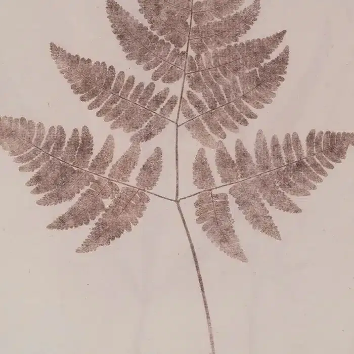 Cuadro Hojas Helecho Marrones, Vintage (33×2.5×48 cm) - Imagen 3