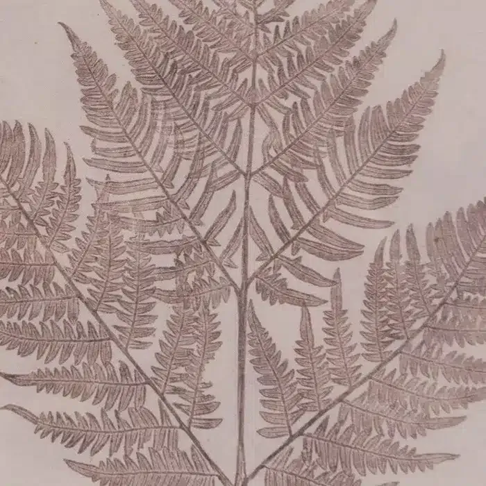 Cuadro Hojas Helecho Marrones, Vintage (33×2.5×48 cm) - Imagen 4