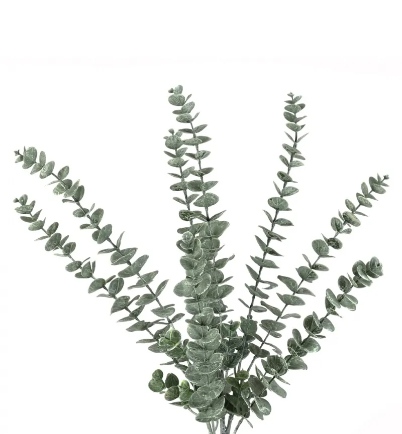 Rama Eucalipto (60cm - Imagen 2