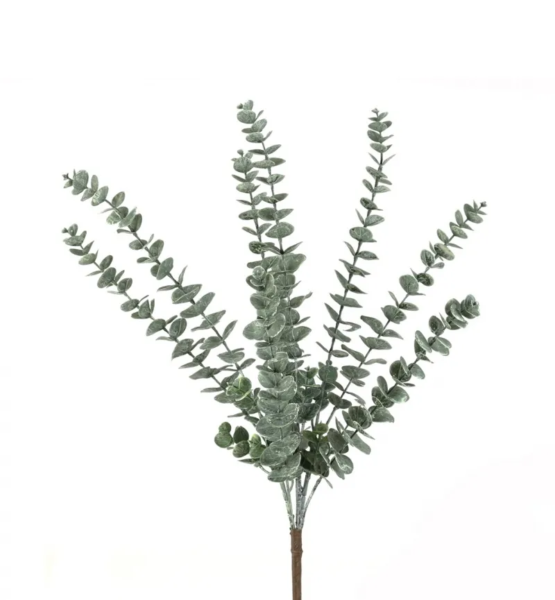 Rama Eucalipto (60cm